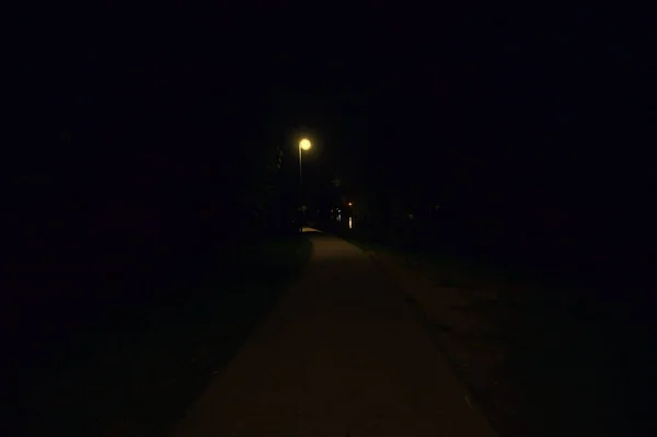 夜は湖畔の公園の街灯のある道 — ストック写真