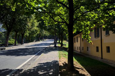 Güneşli bir günde tepede ağaçlarla çevrili yükselen bir yol.
