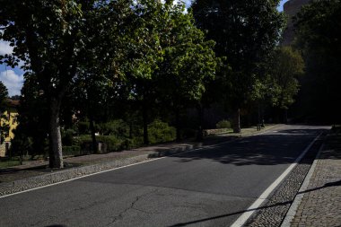 Güneşli bir günde tepede ağaçlarla çevrili yükselen bir yol.