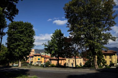 Güneşli bir günde tepede ağaçlarla çevrili yükselen bir yol.