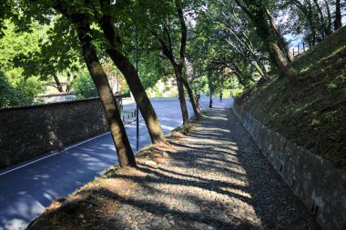 Bir tepedeki yol, bir parkın üstündeki patikadan görünüyor.