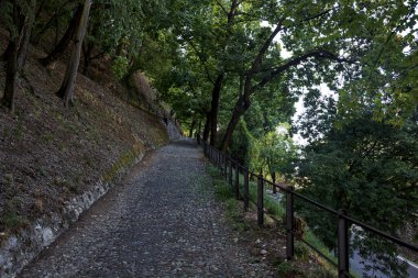 Bir tepedeki yol, bir parkın üstündeki patikadan görünüyor.