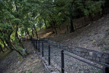 Parktaki asfalt yoldan aşağı iniyor. Taş bir merdivenle çatallanıyor.