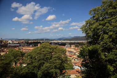Gökyüzünden görünen şehir, güneşli bir günde ağaçlar ve çatılarla çevrili.