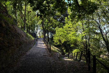 Bulutlu bir günde taştan bir merdivenle bir parkta yol ayrımı yaptım.