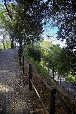 Parktaki asfalt yoldan aşağı iniyor. Taş bir merdivenle çatallanıyor.