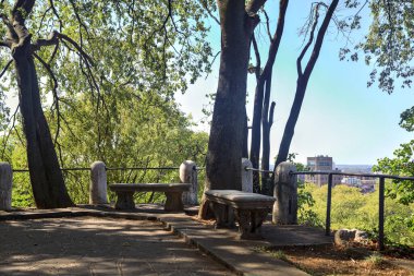 Güneşli bir günde parkta panoramik bir noktanın yanındaki bankta.