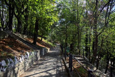 Bulutlu bir günde taştan bir merdivenle bir parkta yol ayrımı yaptım.