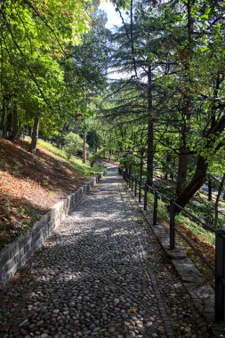 Parktaki asfalt yoldan aşağı iniyor. Taş bir merdivenle çatallanıyor.