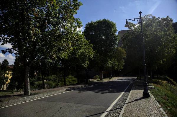 Uppåtstigande Väg Kantad Träd Park Kulle Solig Dag — Stockfoto