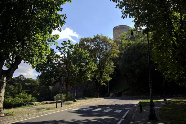 Uppåtstigande Väg Kantad Träd Park Kulle Solig Dag — Stockfoto