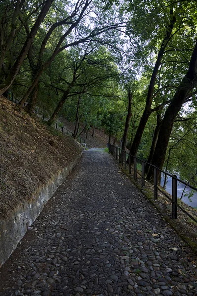 Camino Pavimentado Descendente Parque Que Bifurca Con Una Escalera Piedra — Foto de Stock