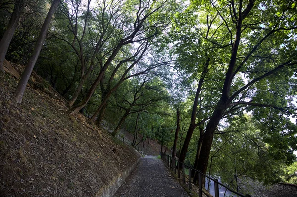 Carretera Una Colina Vista Desde Sendero Sobre Ella Parque —  Fotos de Stock