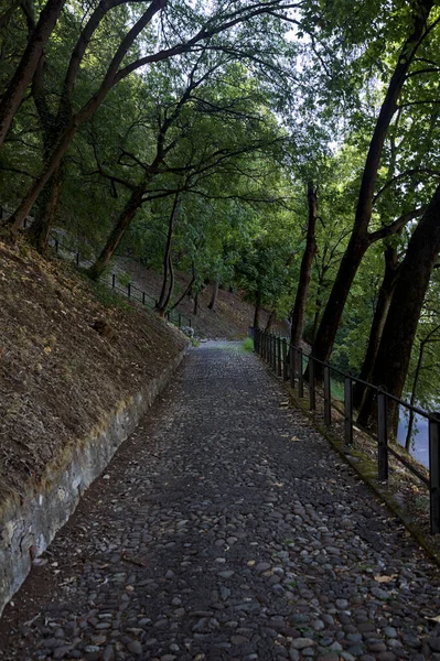 Camino Pavimentado Descendente Parque Que Bifurca Con Una Escalera Piedra — Foto de Stock
