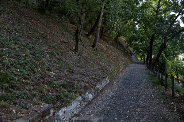 Percorso Lastricato Discesa Parco Bivio Con Scala Pietra — Foto Stock