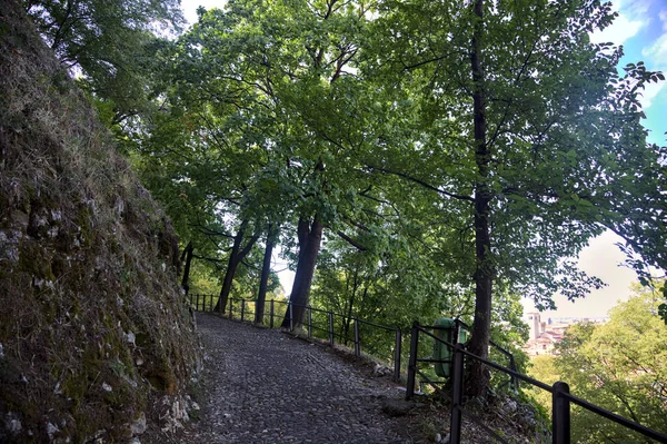 Camino Pavimentado Descendente Parque Que Bifurca Con Una Escalera Piedra —  Fotos de Stock