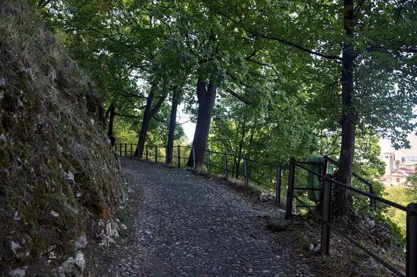 Gepflasterter Weg Einem Park Der Sich Mit Einer Steintreppe Gabelt — Stockfoto