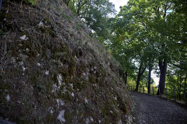 Zejście Utwardzonej Ścieżki Parku Widłowym Kamiennymi Schodami — Zdjęcie stockowe
