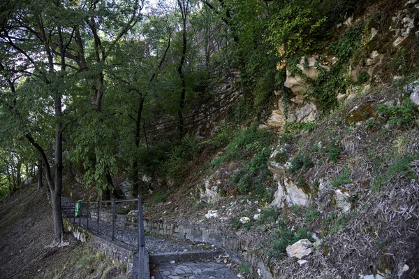 Escalera Piedra Borde Una Pendiente Parque — Foto de Stock