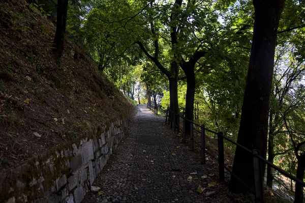 Descendo Caminho Pavimentado Parque Bifurcação Com Uma Escada Pedra — Fotografia de Stock
