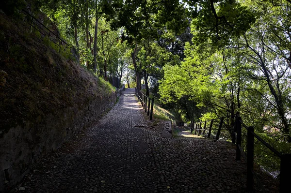 Caminho Pavimentado Parque Bifurcando Com Uma Escada Pedra Dia Nublado — Fotografia de Stock