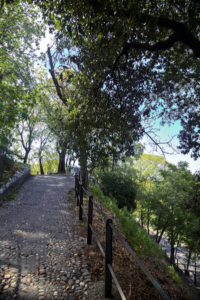 Descending paved path in a park forking with a stone staircase