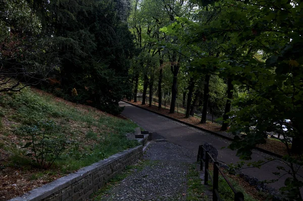 Camino Pavimentado Parque Con Una Escalera Piedra Día Nublado —  Fotos de Stock