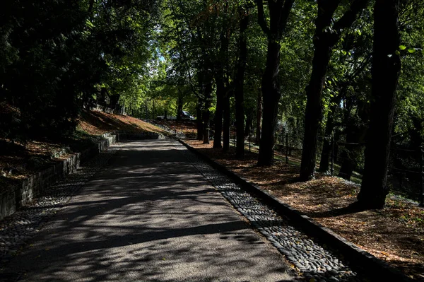 Camino Pavimentado Descendente Parque Que Bifurca Con Una Escalera Piedra —  Fotos de Stock