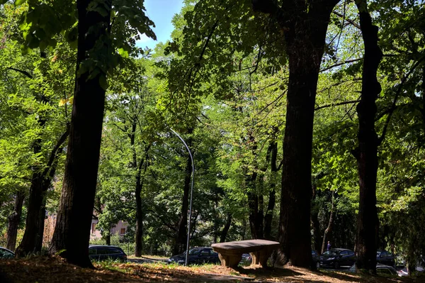 공원에 파노라마처럼 보이는 벤치를 설치하 십시오 — 스톡 사진