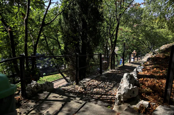 Bulutlu bir günde taştan bir merdivenle bir parkta yol ayrımı yaptım.