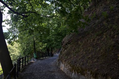 Parktaki asfalt yoldan aşağı iniyor. Taş bir merdivenle çatallanıyor.