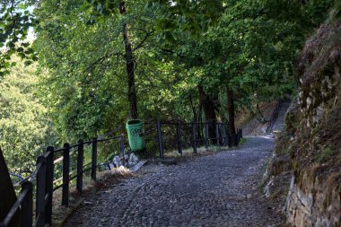 Parktaki asfalt yoldan aşağı iniyor. Taş bir merdivenle çatallanıyor.
