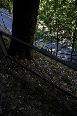 Bir tepedeki yol, bir parkın üstündeki patikadan görünüyor.