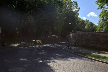 Güneşli bir günde tepede ağaçlarla çevrili yükselen bir yol.