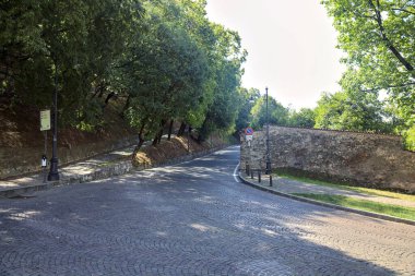 Güneşli bir günde tepede ağaçlarla çevrili yükselen bir yol.