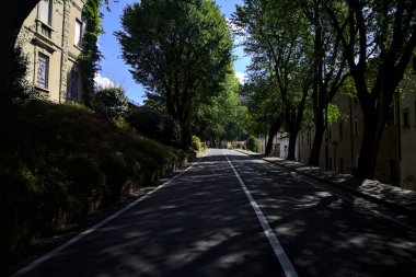 Yokuş yukarı bir yolun kenarındaki ağaçlarla dolu konak