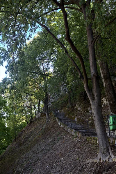 Camino Pavimentado Descendente Parque Que Bifurca Con Una Escalera Piedra — Foto de Stock