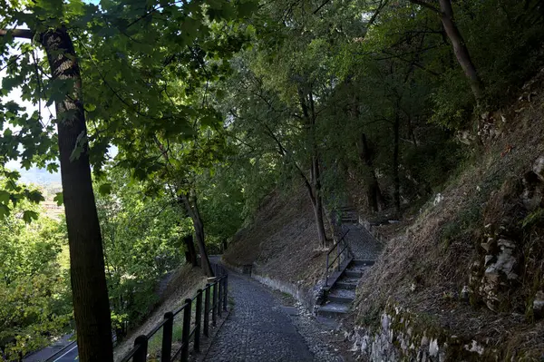 Camino Pavimentado Descendente Parque Que Bifurca Con Una Escalera Piedra —  Fotos de Stock