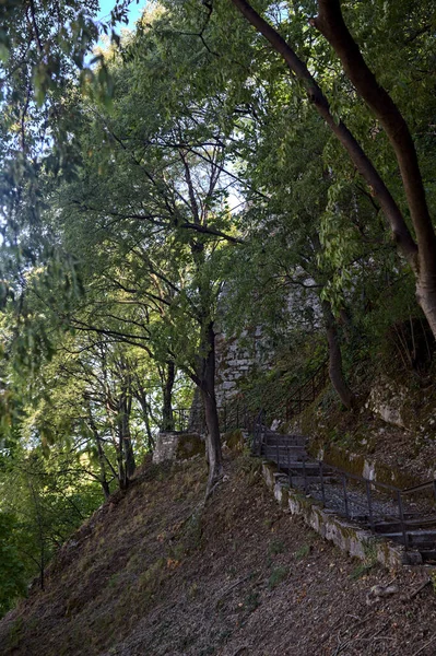 Camino Pavimentado Descendente Parque Que Bifurca Con Una Escalera Piedra — Foto de Stock