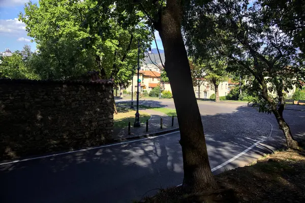 Aufsteigende Straße Gesäumt Von Bäumen Einem Park Auf Einem Hügel — Stockfoto