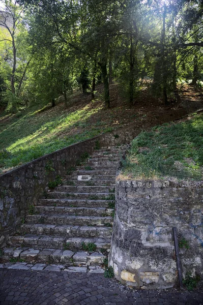 Kőlépcső Egy Lejtő Szélén Egy Parkban — Stock Fotó