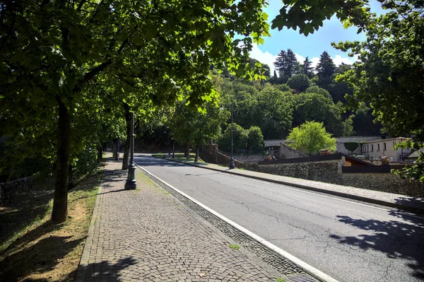 Camino Ascendente Bordeado Por Árboles Parque Una Colina Día Soleado —  Fotos de Stock