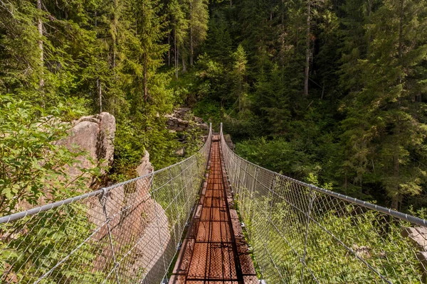 Suspension Bridge Forest Bellamonte Trentino Alto Adige — Stock Photo, Image