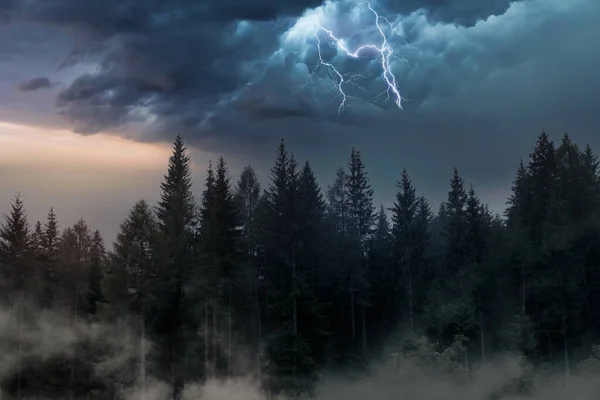 Thunderstorm Lightning Sunset Fir Forest Photo De Stock