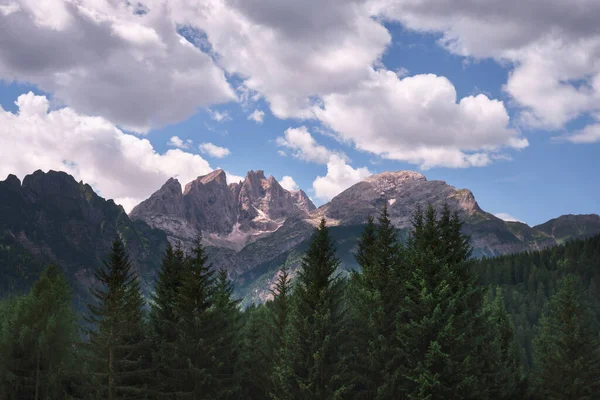 Fir Forest Rocky Peaks Trentino Alto Adige Dolomites — Stock Photo, Image