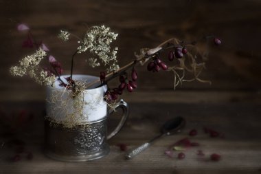 Kuru çimenlerle ve beyaz seramik bardakta böğürtlenlerle dolu metal bardak tutacağıyla sakin bir hayat..