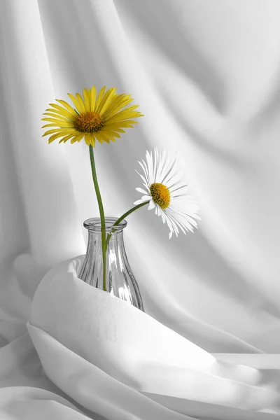 Beyaz ve sarı doronicum çiçekleriyle dolu beyaz bir kumaşın üzerine düşen cam bir vazoda.