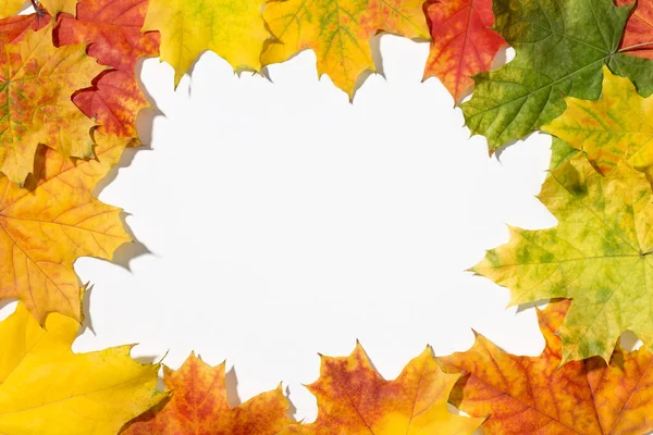 Canlı Renkli Akçaağaç Yapraklarından Yapılmış Çerçeve Içinde Beyaz Arka Plan — Stok fotoğraf