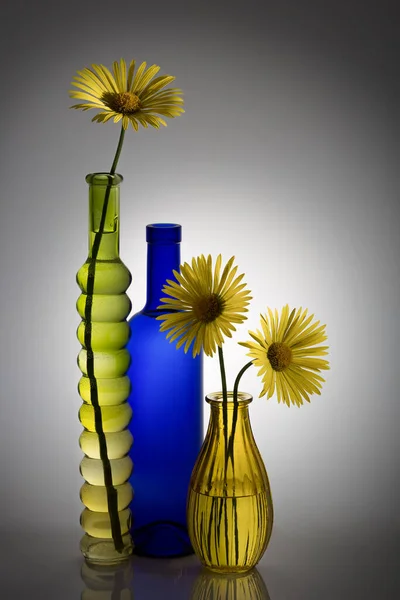 Stylish Modern Interior Still Life Doronicum Flowers Decorative Glass Vases — Stock Photo, Image