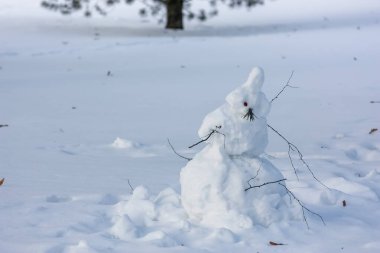 Karla kaplı bir şehir parkında çocuklar tarafından yapılan soyut bir kardan adam..